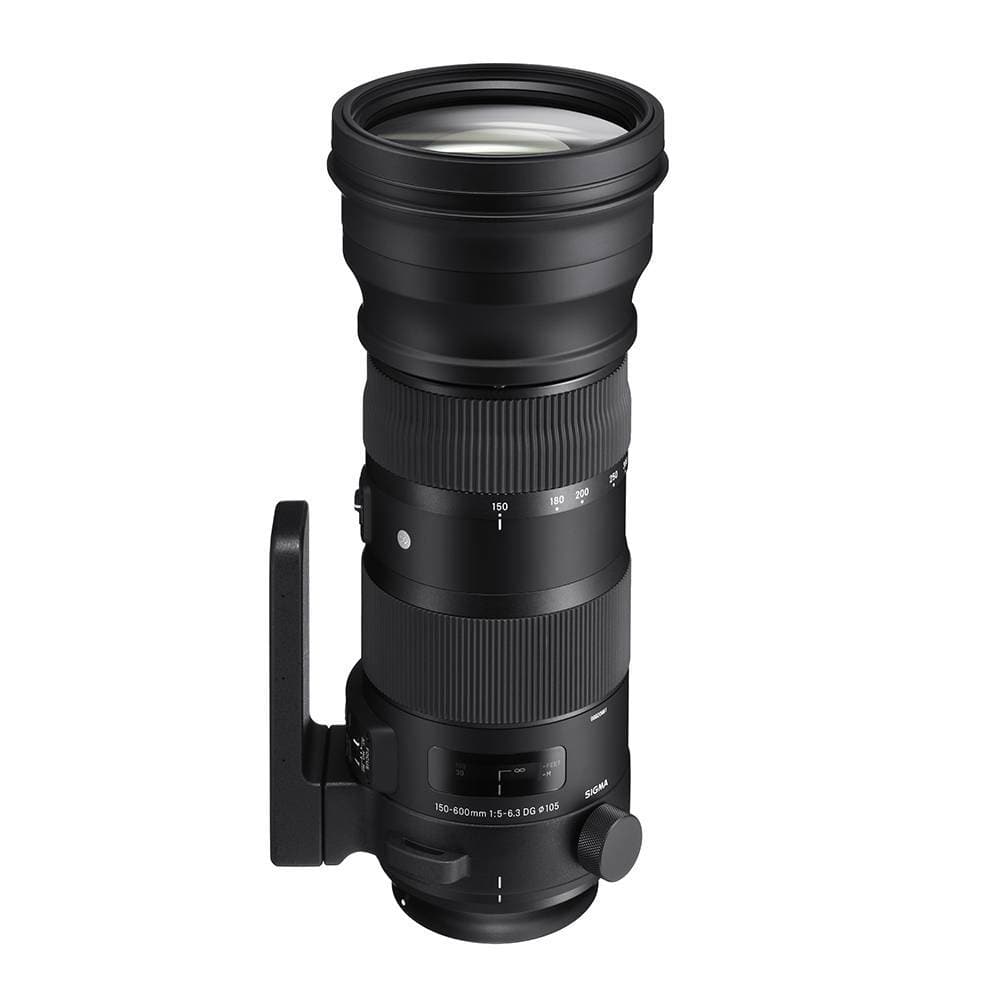 レンズ(ズーム)キヤノンEFマウント用 望遠レンズ SIGMA 150-600mm F5-6.3