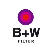 B + w