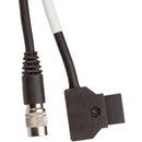 Teradek RT MK3.1 D-Tap Cable (24 ")
