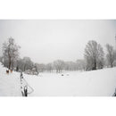 Sigma 15 mm f / 1,4 dg dn art objectif - Leica L