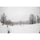 Sigma 15 mm f / 1,4 DG DN Art Lens - Sony E