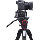 Zoom F6 Enregistreur de champ multitrack à 6 entronnements / 14 pistes