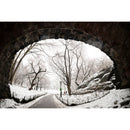 Sigma 15mm f/1.4 DG DN Art Lens - Sony E