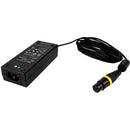 Aputure amaran 100x Bi-Color LED Monolight