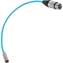 Kondor Blue Mini-XLR Male to XLR Female Audio Cable for Canon C70 & BMPCC 6K/4K (Blue, 16")