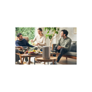 Sony SRS-RA3000 Wireless Speaker Light Gray- Open Box