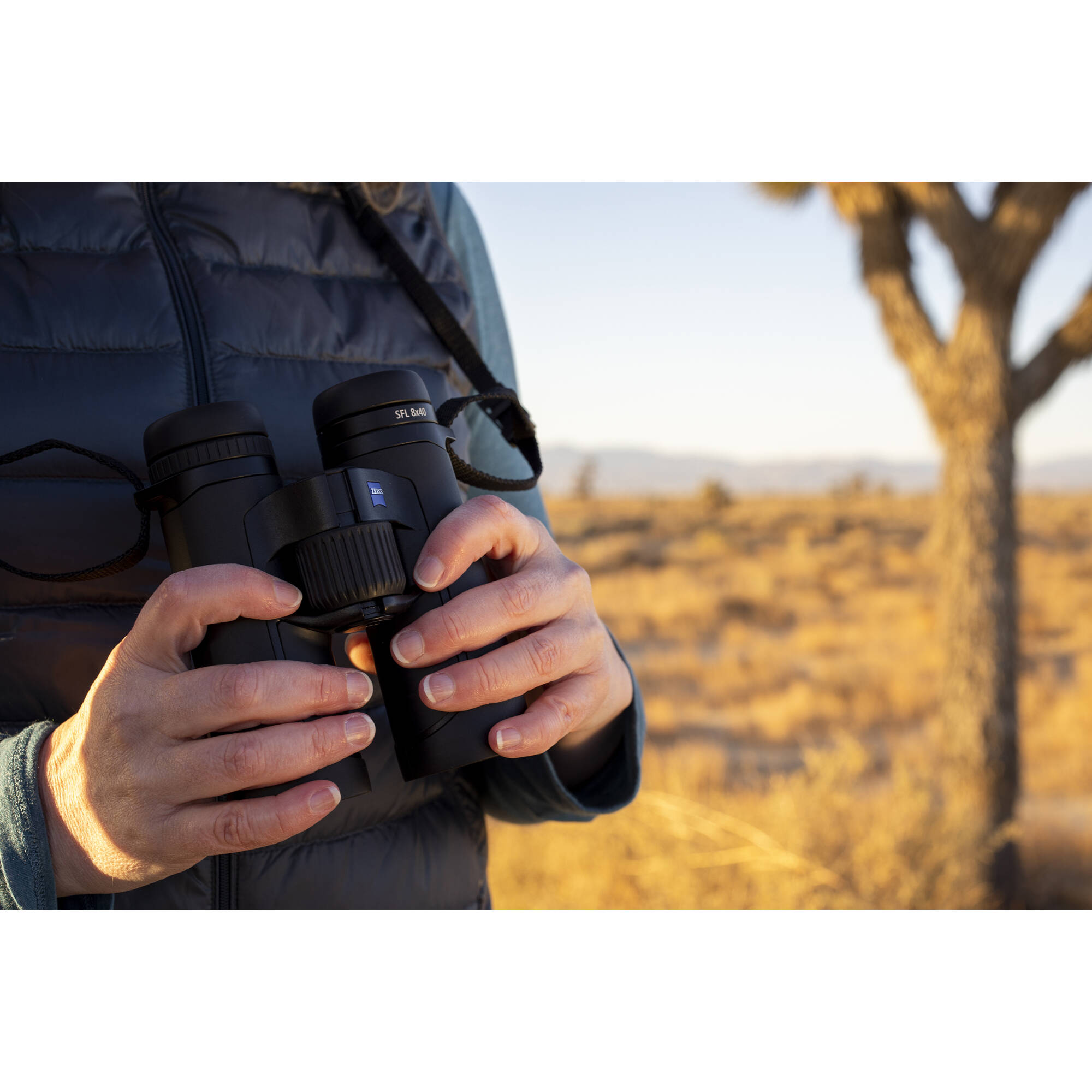 ZEISS 10x40 SFL Binoculars