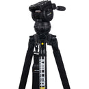 MILLER CX8 (1093) Solo-Q 75 2-St Carbon Fiber Tripod (2500) Pan Handle (679) Strap (1520) Soft case (3514)