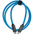 Kondor Blue USB-C Cable (3', Kondor Blue)