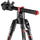 Manfrotto Befree GT XPRO Carbon Fiber Travel Tripod with 496 Center Ball Head