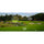 Nikon CoolShot 20i GIII 6x20 Golf Laser Rangefinder