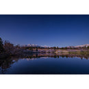 Sigma 14mm f/1.4 DG DN Art Lens - Sony E Mount