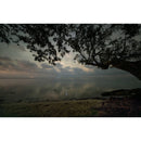 Sigma 14 mm f / 1,4 dg dn art objectif - leica l monture