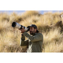 Sony a6700 Mirrorless Camera