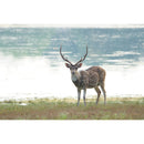 Sony a6700 Mirrorless Camera with 16-50mm Lens