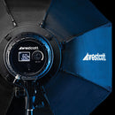 Westcott U60-B Bi-Color Led 2-Light Softbox Kit