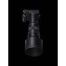Sigma 500 mm f / 5.6 dg dn os sportive Lens - Leica L