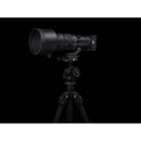 Sigma 500 mm f / 5.6 dg dn os sportive Lens - Leica L