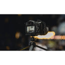 Tilta Mini Ball Head Mount with Cold Shoe