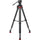 Sachtler Flowtech 75 MS Carbon Fiber Tripod System with Ace XL Mark II Fluid Head