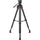 Sachtler Flowtech 75 MS Carbon Fiber Tripod System with Ace XL Mark II Fluid Head