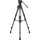 Sachtler 75/2 Mark II Aluminum Tripod System with Ace XL Head & Mid-Level Spreader