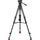 Sachtler 75/2 Mark II Aluminum Tripod System with Ace XL Head & Mid-Level Spreader