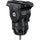 Sachtler 75/2 Mark II Aluminum Tripod System with Ace XL Head & Mid-Level Spreader