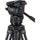 Sachtler 75/2 Mark II Carbon Fiber Tripod System with Ace XL Head & Mid-Level Spreader