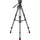 Sachtler 75/2 Mark II Carbon Fiber Tripod System with Ace XL Head & Mid-Level Spreader