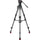 Sachtler 75/2 Mark II Carbon Fiber Tripod System with Ace XL Head & Mid-Level Spreader