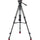 Sachtler 75/2 Mark II Carbon Fiber Tripod System with Ace XL Head & Mid-Level Spreader