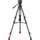 Sachtler 75/2 Mark II Carbon Fiber Tripod System with Ace XL Head & Mid-Level Spreader