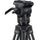 Sachtler 75/2 Mark II Carbon Fiber Tripod System with Ace XL Head & Mid-Level Spreader