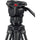 Sachtler 75/2 Mark II Carbon Fiber Tripod System with Ace XL Head & Mid-Level Spreader
