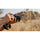 Sony FE 16-25mm f/2.8 G Lens (Sony E)