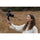 Sony FE 16-25mm f/2.8 G Lens (Sony E)