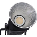 Aputure LS 600C Pro II RVB LED monolight (Gold Mount)
