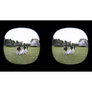 Canon RF-S 3,9 mm f / 3,5 STM Dual Fisheye Objectif (Canon RF)