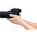 Panasonic Lumix FZ80D numérique caméra