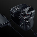 Panasonic Lumix FZ80D numérique caméra