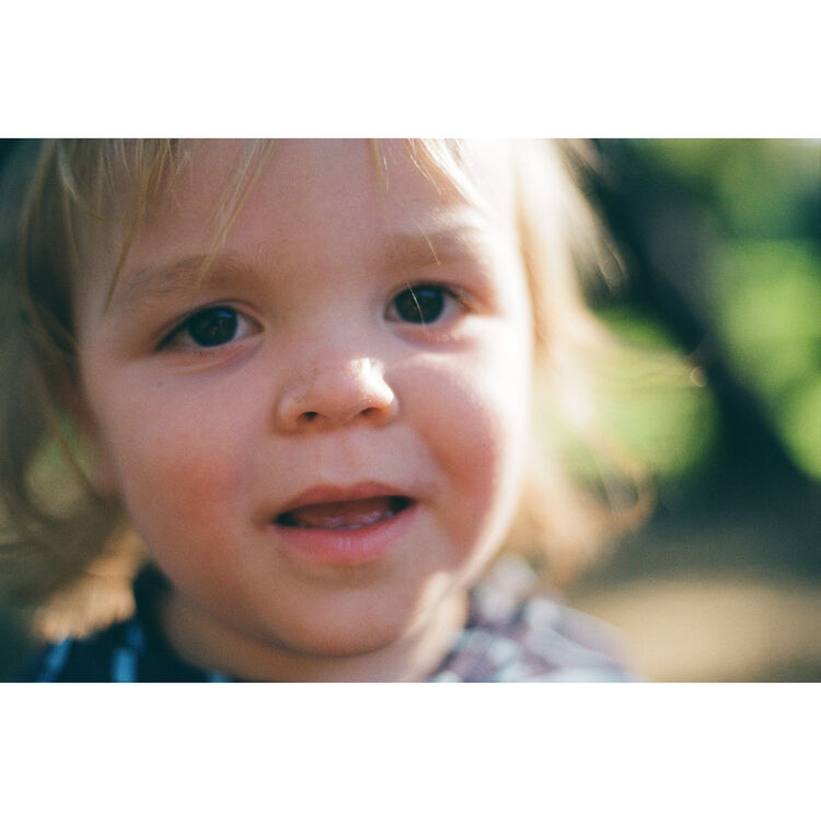 Kodak Professional Gold 200 Color Negative Film (120 Roll Film, 5-Pack)