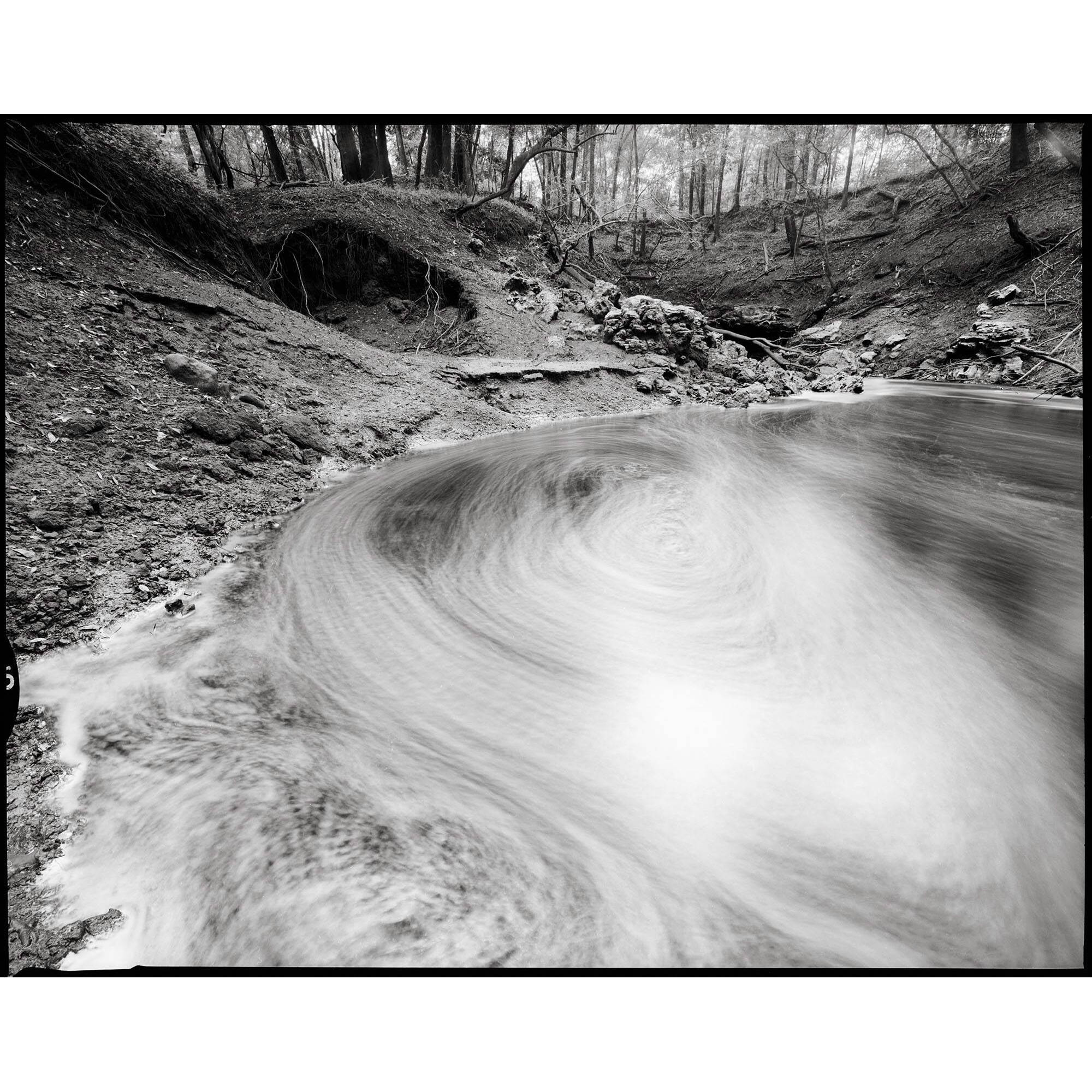 Kodak Professional T-Max 100 Black and White Negative Film (35mm Roll Film, 24 Exposures)