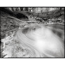 Kodak Professional T-Max 100 Noir et un film négatif blanc (film de 35 mm, 24 expositions)