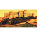 Harman Technology Red 125 Redscale Color Negative Film (Film Roll 35 mm, 36 expositions)