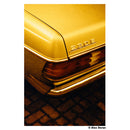 Harman Technology Red 125 Redscale Color Negative Film (Film Roll 35 mm, 36 expositions)