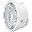 Godox ML100R RVB Light Portable LED