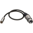 Kondor Blue Mini-XLR Male to XLR Female Audio Cable for Canon C70 & BMPCC 6K/4K (Black, 16")