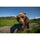 Laowa 12mm f/2.8 Lite Zero-D Autofocus Lens (Sony E Mount, 5-Blade Aperture)