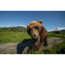 Laowa 12mm f/2.8 Lite Zero-D Autofocus Lens (Sony E Mount, 5-Blade Aperture)